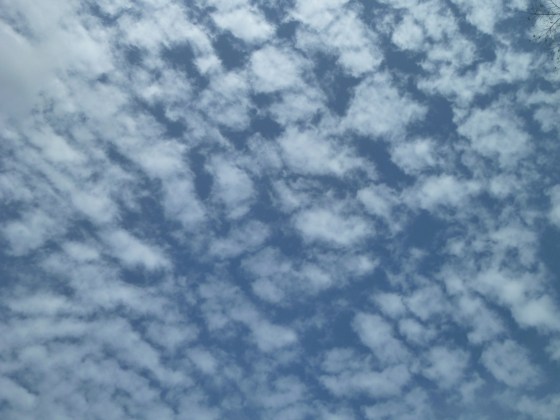 Rentrée littéraire 2018