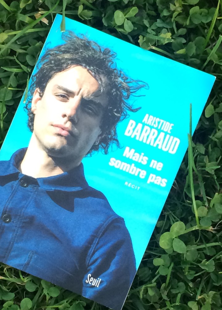 Mais_ne_sombre_pas_chronique_litteraire