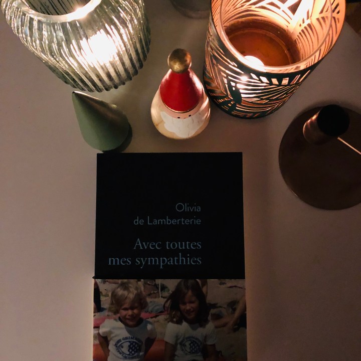 Olivia_de_Lamberterie_chronique_litteraire