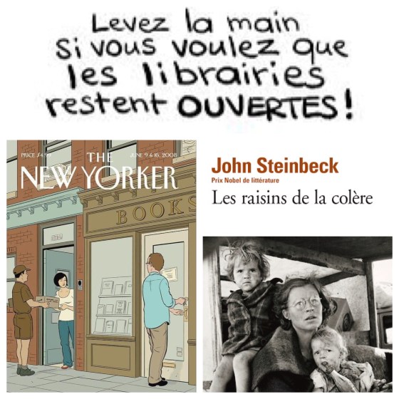 les_raisins_de_la_colere_john_steinbeck