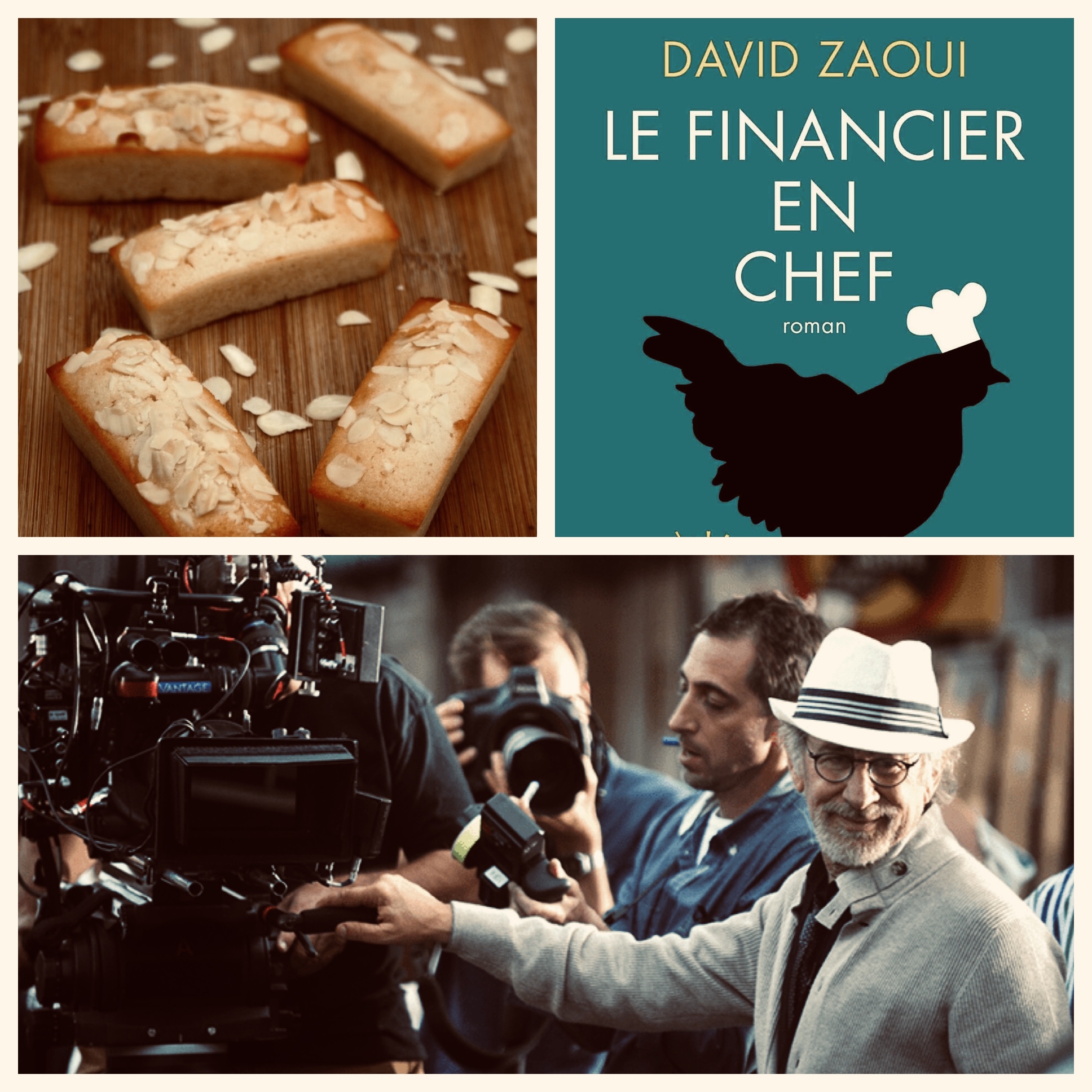 chronique_litteraire_david_zaoui