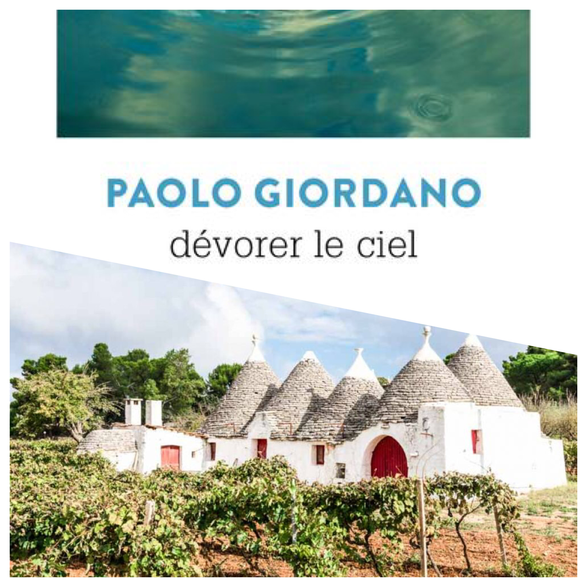 chronique_litteraire_devorer_le_ciel