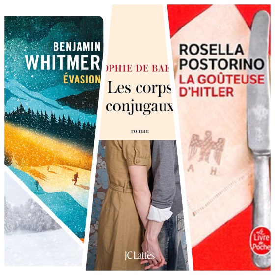 chronique_litteraire